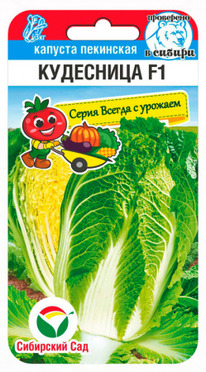 ������� ��������� ���������