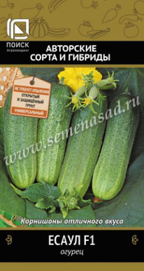 ������ �����