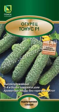 ������ ����� F1