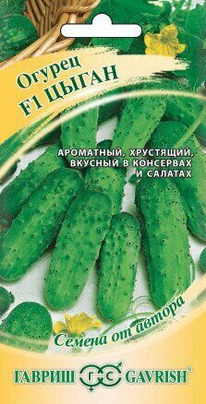 ������ ����� F1