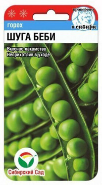 ����� ���� ����