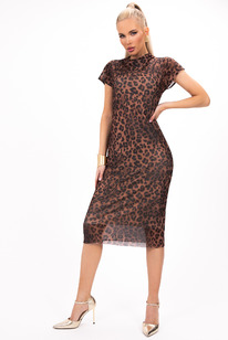 ������ ��������� (����������)