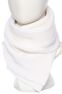 ���� Ferz ����