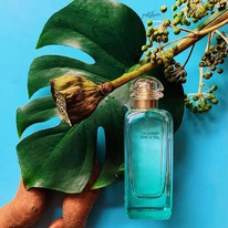 Hermes Un Jardin Sur Le Nil ������ 25% �� 31.05