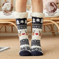 ���������� �������� ����� � ������������ ��������� (������ 36-41) ����� � ������