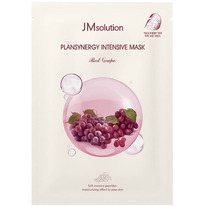 ����� �������� ����������� � ������� ���������� JMSOLUTION Plansynergy Intensive