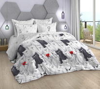 ������� ���������� ����� �� ������� ����