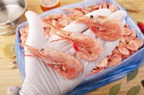 �������� ��������.�������� 60/80 �����-�������.�������� ��������� �����������