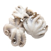 ��������� 40/60 ������������, �������