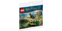 toys LEGO� Harry Potter� 30651Quidditch� Training