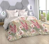 ������� ���������� ����� �� ������� - ���� ( �����)