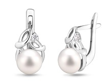 ������, ������, �1504