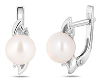 ������, ������, ��041