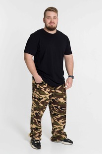 ����� �����������