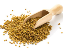 �������� ������ 100 ��