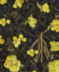 ������ ������� 