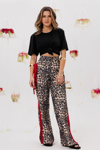 ������ KOKOdea 6.17.3 �����������