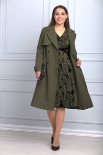 ���� ANELLI 747 �������