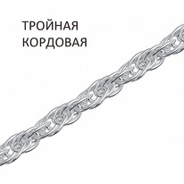 ���� �������� �������