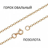 ���� ����� �������� ���������