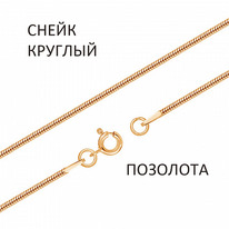 ���� ����� ������ ���������