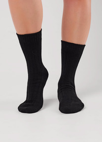 ��� ����� ���. ����� ���� ��� �66� ������