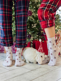 Mark Formelle  550U-2991 550U-2991 .  125686