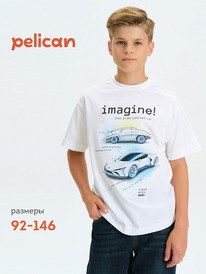 Pelican    BFT3377/5 
