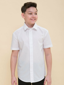 Pelican     BWCT7119 