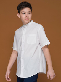 Pelican     BWCT7117 