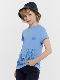 Mark Formelle    113379 113379 . + 18114