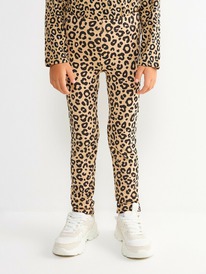 Acoola ����� ������� ��� ������� (������) Putra1 20230160023 �������