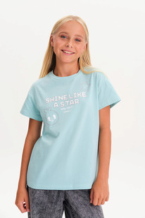 Pelican    GFT3377/1 