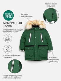 Acoola     Corrino 20120770009 