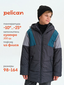 Pelican    BZWH3378//1 -