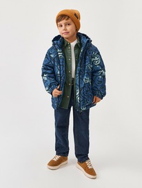 Acoola     Vinci 20120130286  