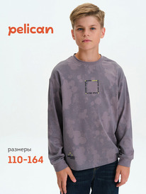 Pelican ������� ��� ��������� BFJ3377 �����