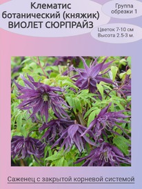 �������� (������) ������ ��������