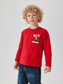 Acoola ������� ������� ��� ��������� Sinterklas 20120150141 �������