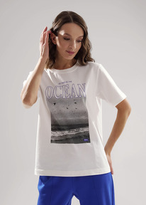 Clever     CLE LF25-1163 