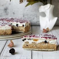 ���� ��������-����������� � ������� 14���� ������ �������