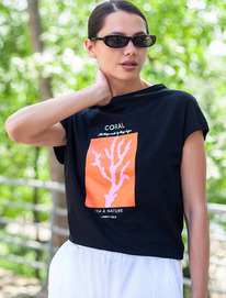 Vilatte �������� �� ���������� ������������ ������� � ������� ������� D49.020 ��