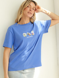 Vilatte �������� �� ������������ ������ � ������� ������� D49.098 �����������_��