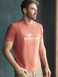 �����  Vilatte �������� �� ������������ ������ � ��������� ������� U49.045 �����