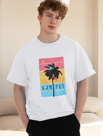 �����  Vilatte ��������� ��������  � ��������� ������� U49.048 �����_sunset