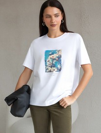 Vilatte �������� D49.145 �����_everyday