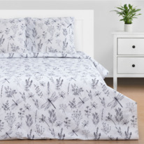 �������� ����������� ����� �� ���� ��������