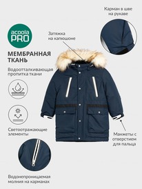 ����� �� 20.01 Acoola ������ ������� ��� ��������� Corrino 20120770009 �����-���