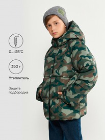 13.01 Acoola ������ ������� ��� ��������� Tsolern2 20130650006 ��������