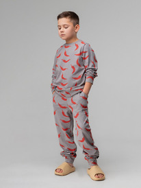 13.01 Bodo ������ 11-263�U 11-263�U ����� (�������)